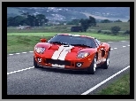 Ford GT