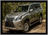 Lexus GX, 2020