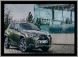 Lexus UX 300e, Oliwkowy