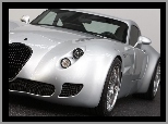 Reflektor, Wiesmann GT MF5